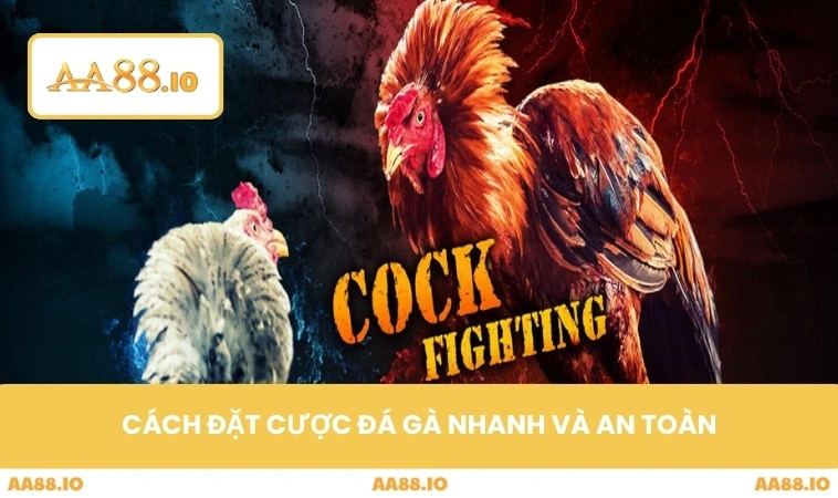 Cách đặt cược đá gà nhanh và an toàn