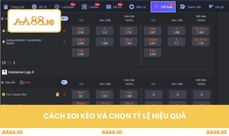 Cách soi kèo và chọn tỷ lệ hiệu quả
