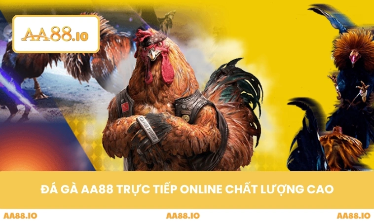 Đá gà AA88 trực tiếp online chất lượng cao