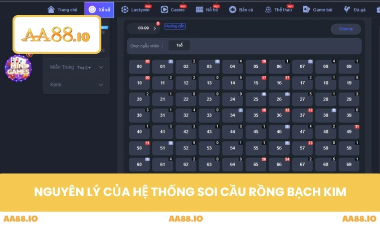 Nguyên lý của hệ thống soi cầu rồng bạch kim