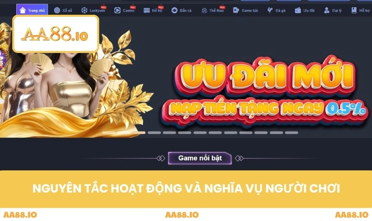 Nguyên tắc hoạt động và nghĩa vụ người chơi